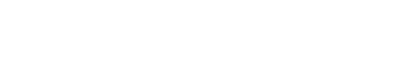 Firmowy sklep internetowy