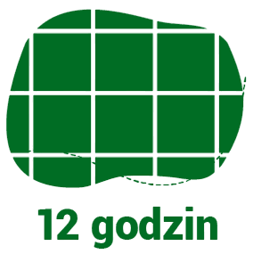 Fugowanie ścian